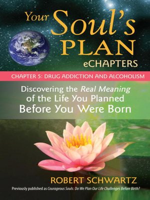 Your Soul's Plan eChapters, Chapter 4 - ebook